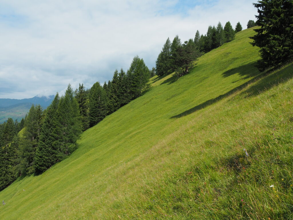 Naturschutzgebiet Obermutten